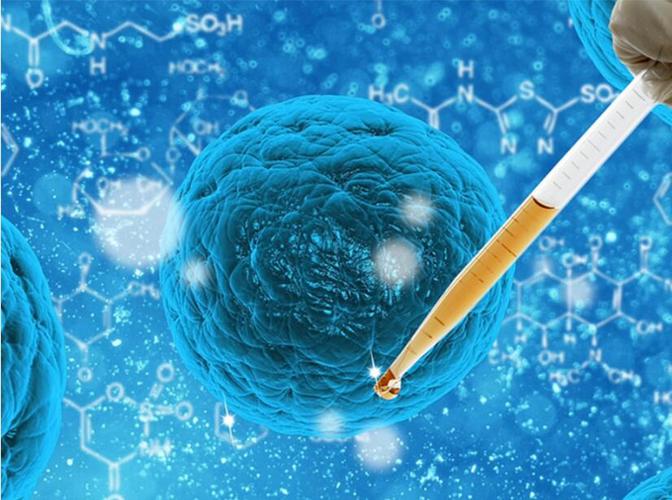 肝腎功能檢查多少錢？價值遠超價格的健康管理必修課